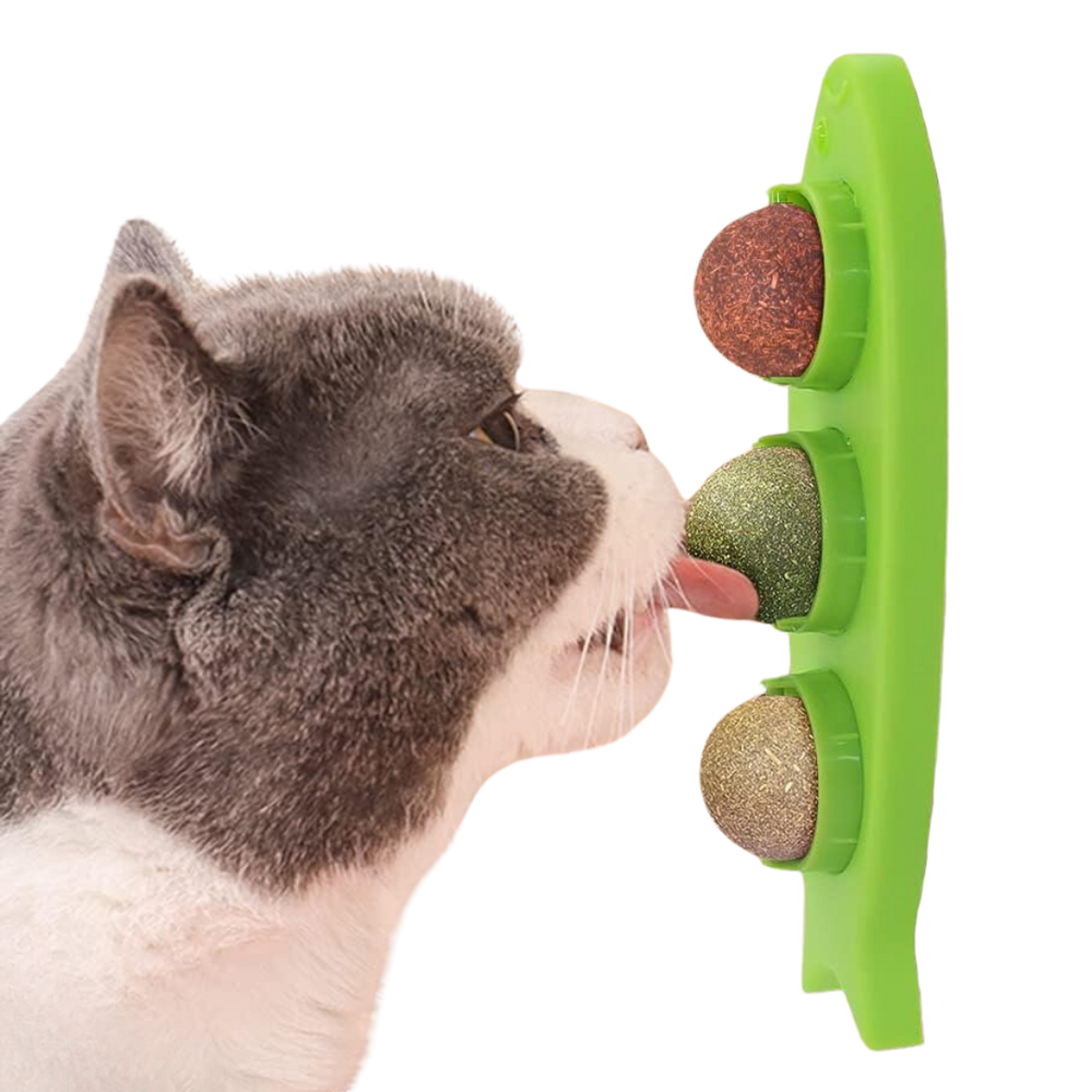 Catnip licking ball - Cutier Store