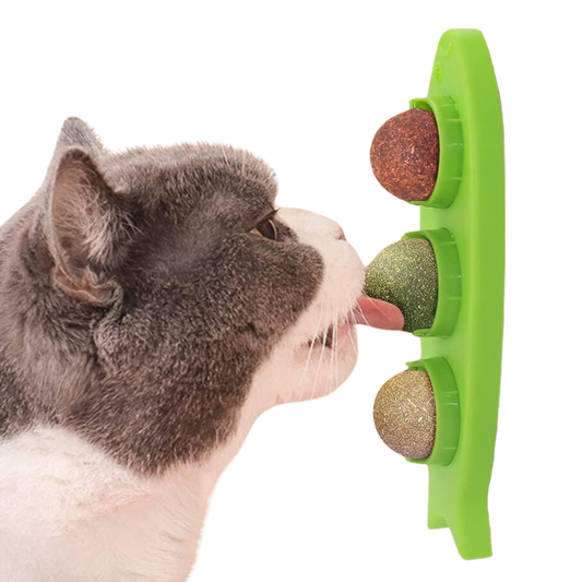 Catnip licking ball - Cutier Store