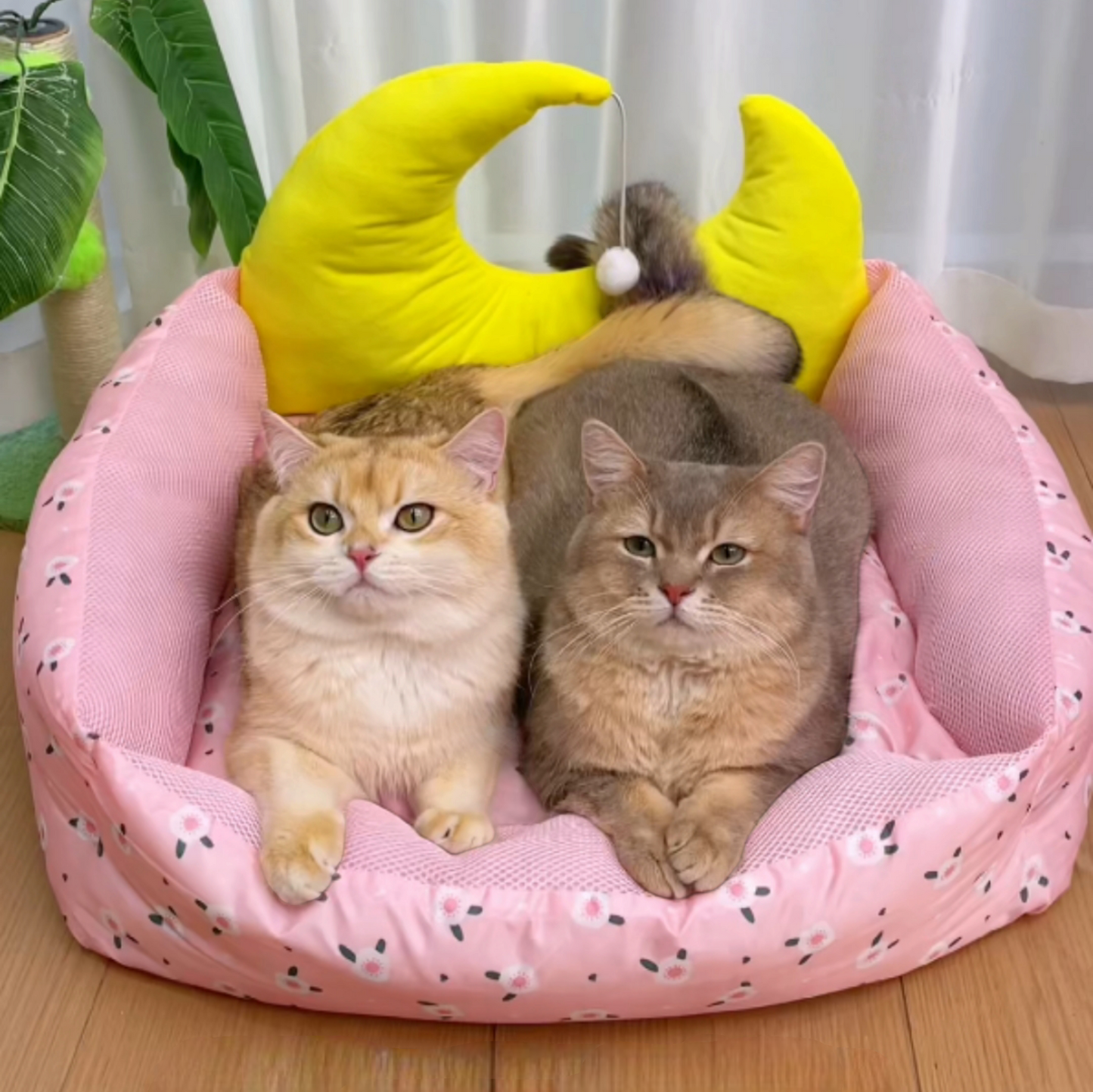 Cool & Waterproof Pet Sleeping Bed - Cutier Store