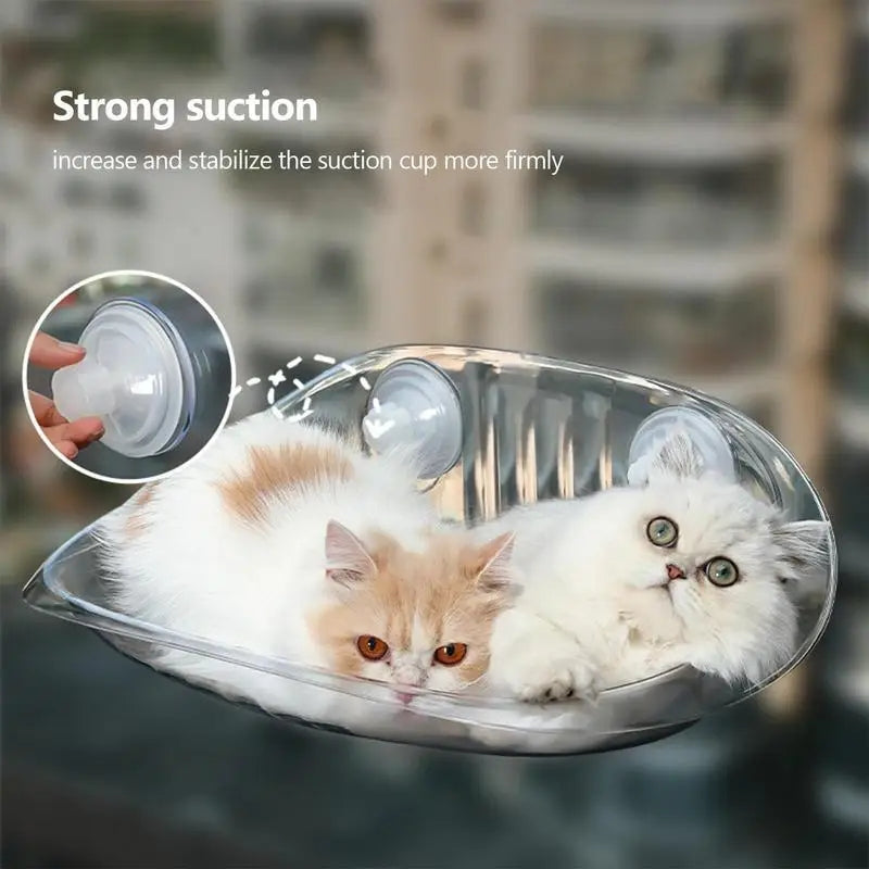 CutierStore® Cat window car Hammock - Cutier Store