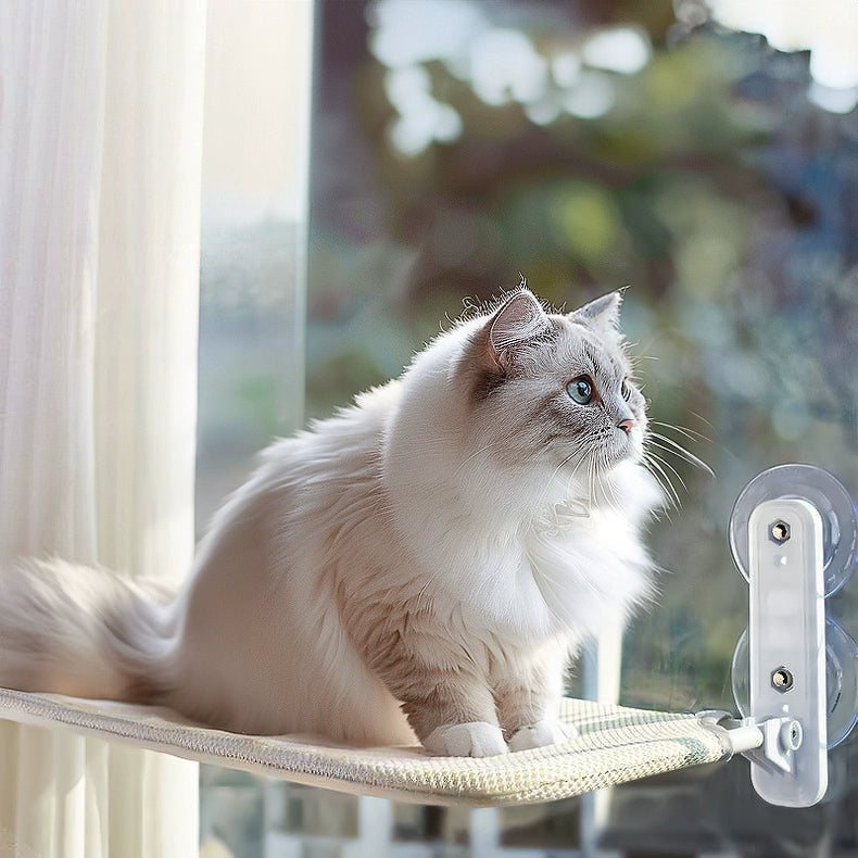 Cat Window Hammock - Cutier Store