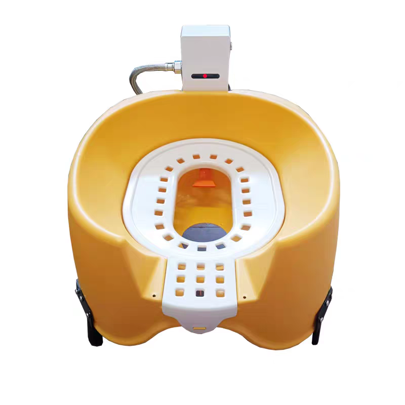 Luxury Automatic Flushing Cat Toilet