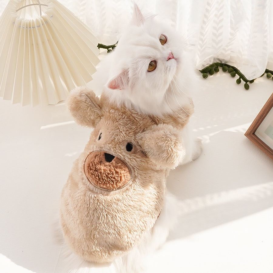 Winter Clothes For Cats - Cutier Store