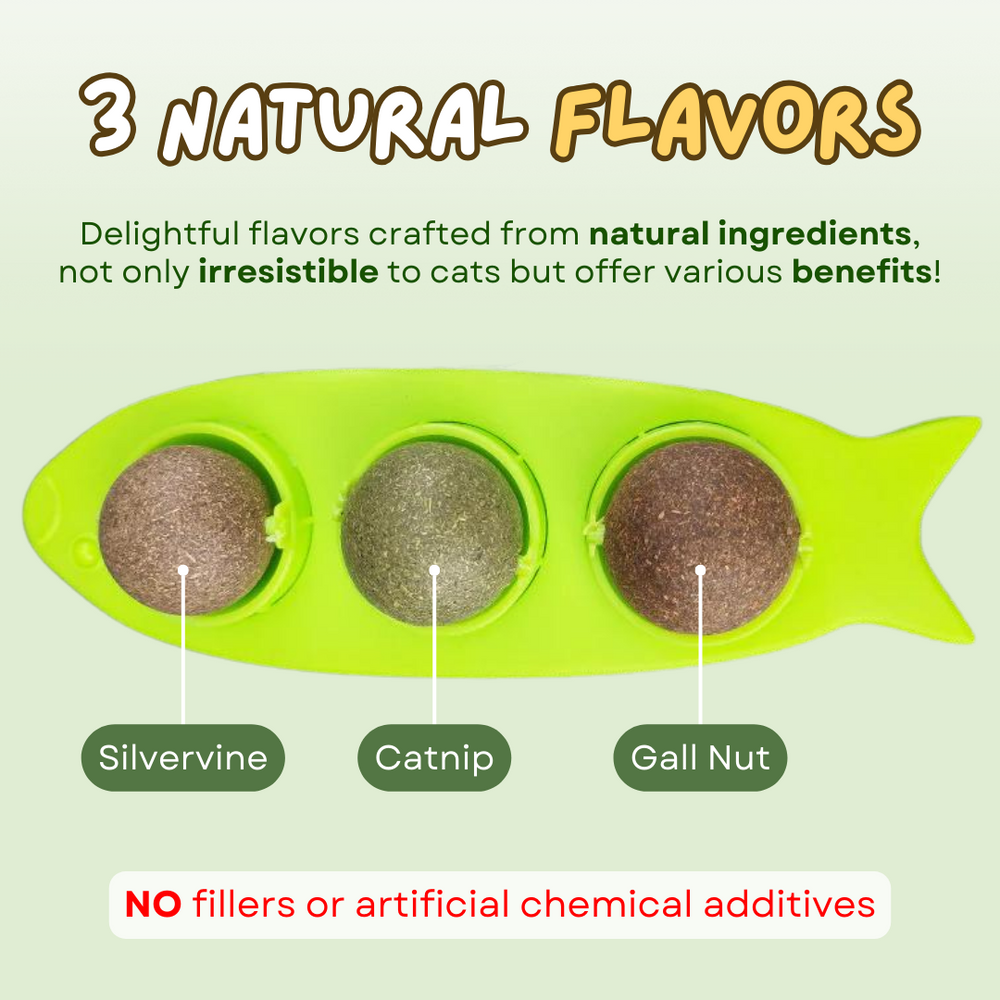 Catnip licking ball - Cutier Store