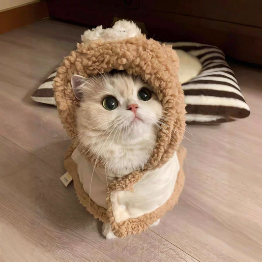 Pet winter Warm cute bear cape blanket ❄️