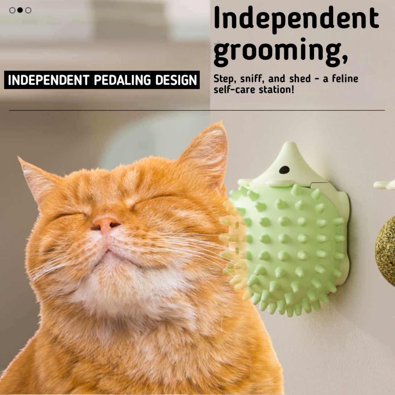 360° Minty Relaxer | Soothe, Scratch, and Groom - Your Cat's Bliss! - Cutier Store