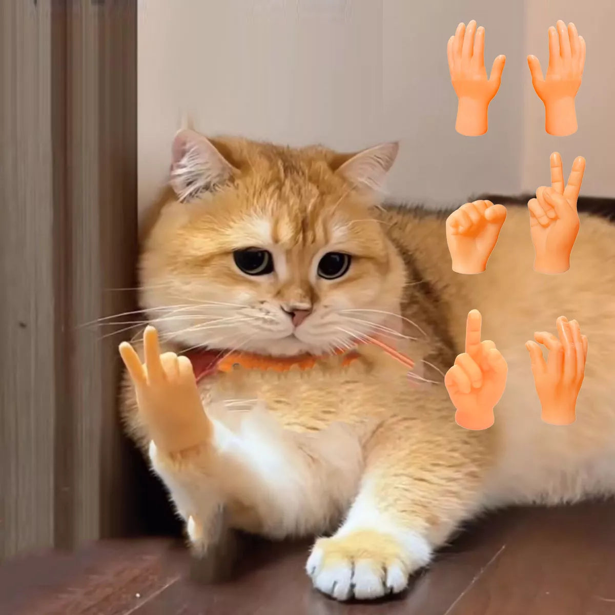 6PCS Cat Little funny Fake Human Hand - Cutier Store