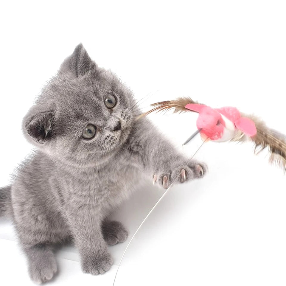 Automatic Electric Rotating cat Toy - Cutier Store