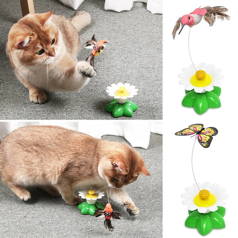 Automatic Electric Rotating cat Toy - Cutier Store