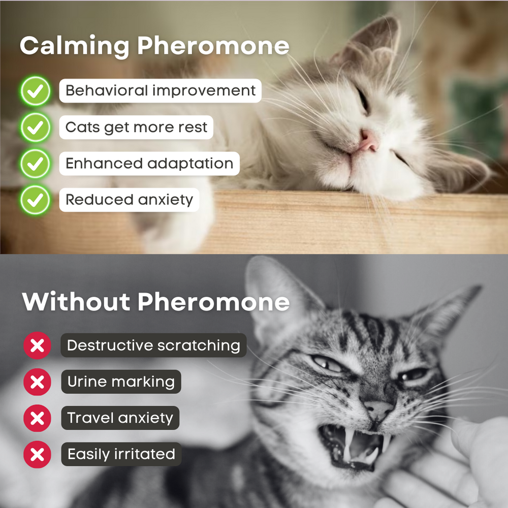 Cat Calming Pheromone - Cutier Store