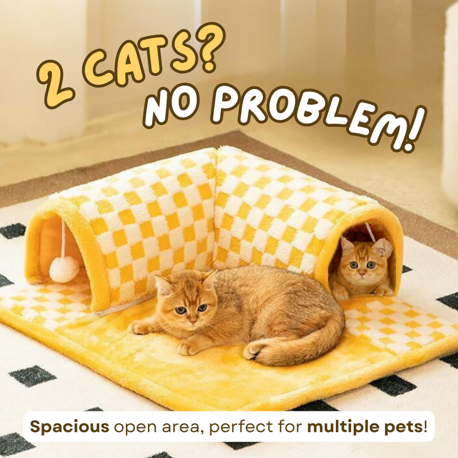 CatsStore® First Class Tunnel Bed - Cutier Store