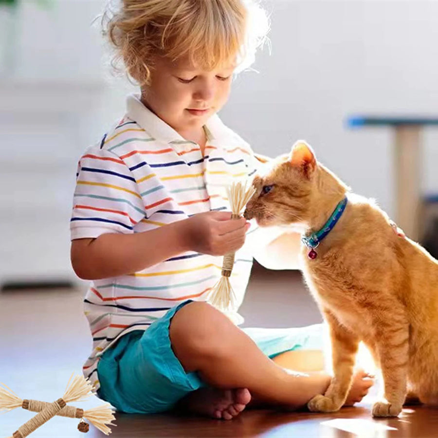 Cat Toys Silvervine Chew Stick - PP18 - Cutier Store