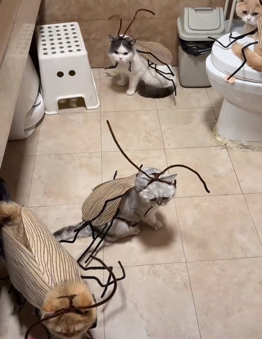Funny Cockroach Cat Costume - Cutier Store
