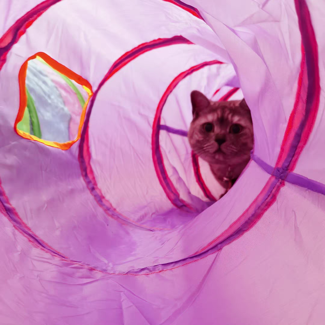Cat Tunnel Toy - Cutier Store
