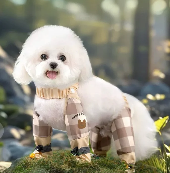 Anti-Dirty Waterproof Dog Pants – Full-Body Mud Protection for Pets - Cutier Store