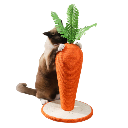 Carrot cat scratcher, a cute scratching post that helps stop a cat scratching the couch
