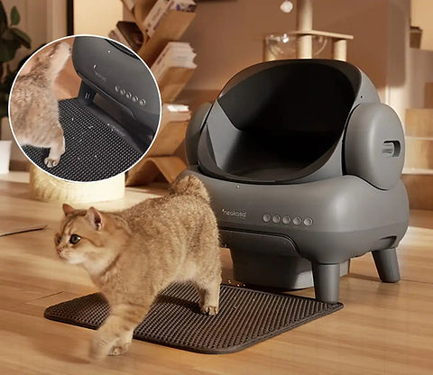 Smart cat litter box luxury style