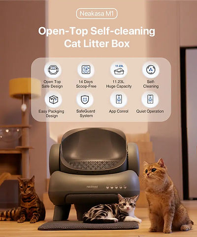 Smart cat litter box luxury style