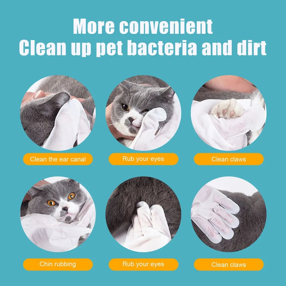 Pet Wipes Disposable Gloves