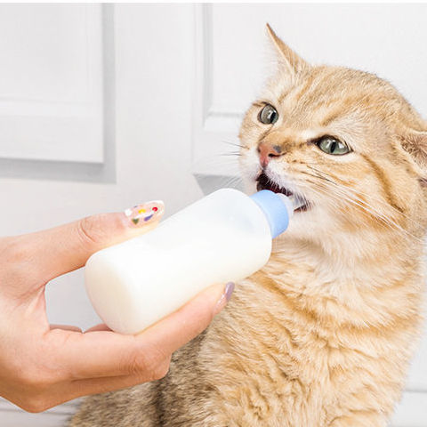 Cat Feeding Bottle Set (6PCs)