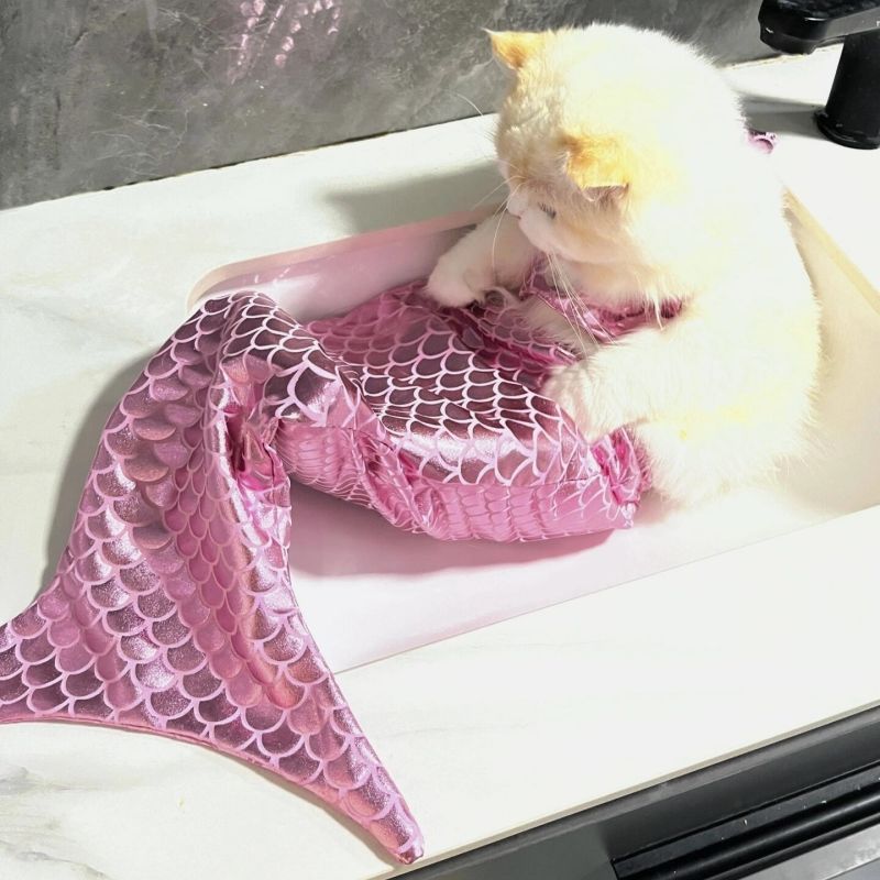 Cute Mermaid Cat suit