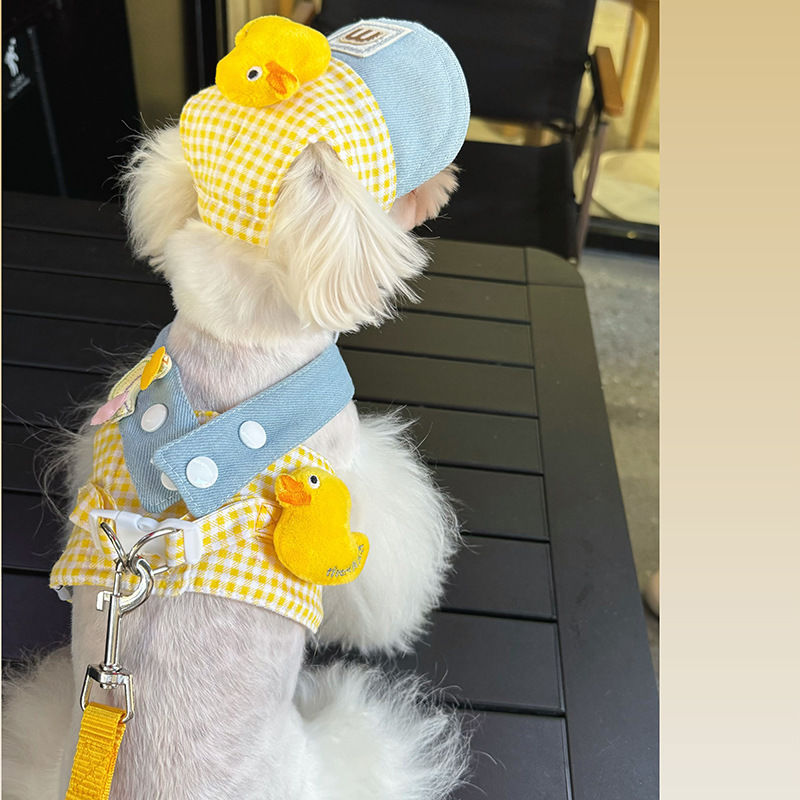 Cute Duck Pet Hat Harness set