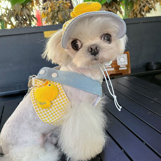 Cute Duck Pet Hat Harness set