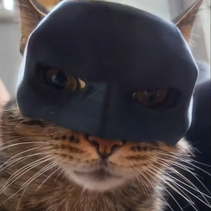 Bat Cat Halloween Gift Mask - Cutier Store