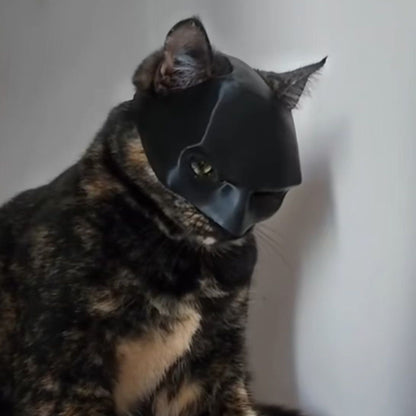Bat Cat Halloween Gift Mask - Cutier Store