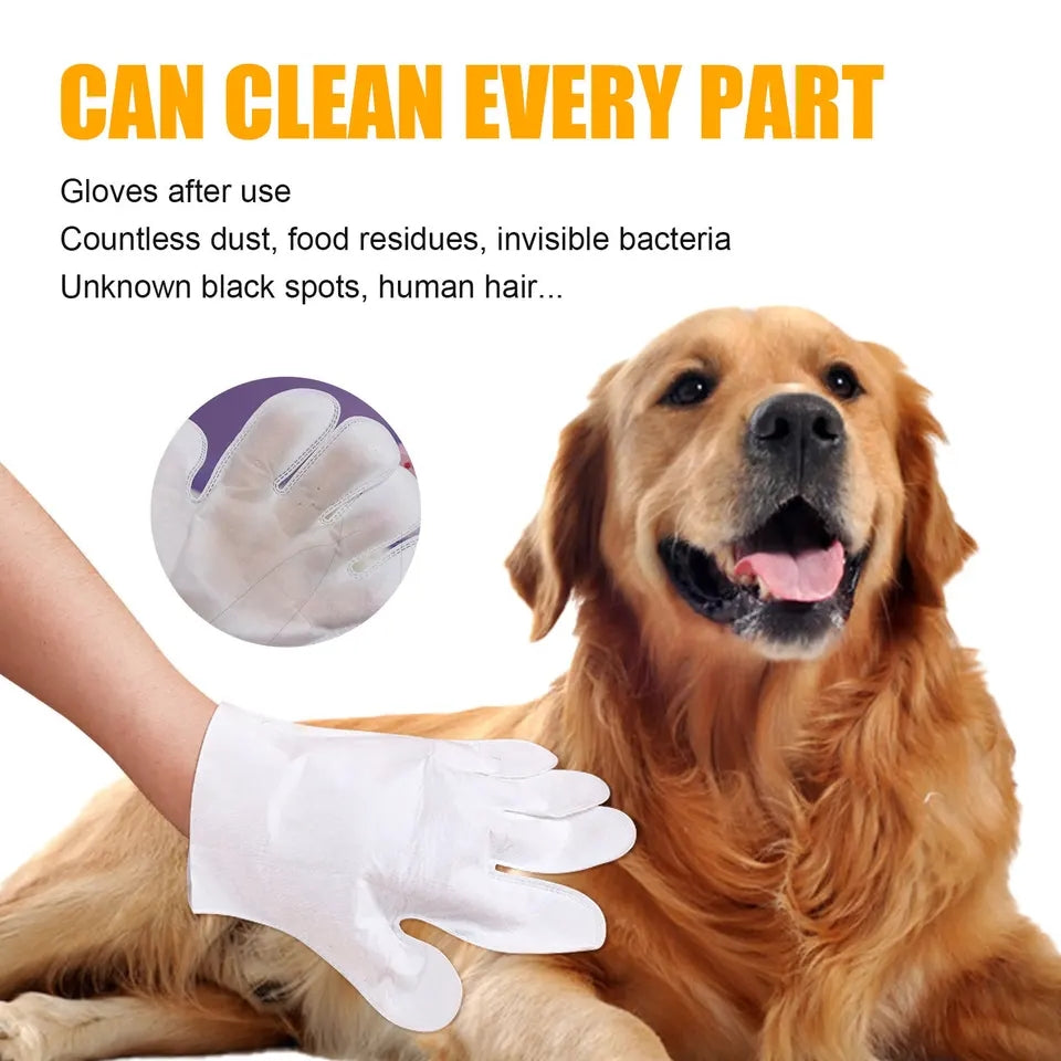 Pet Wipes Disposable Gloves