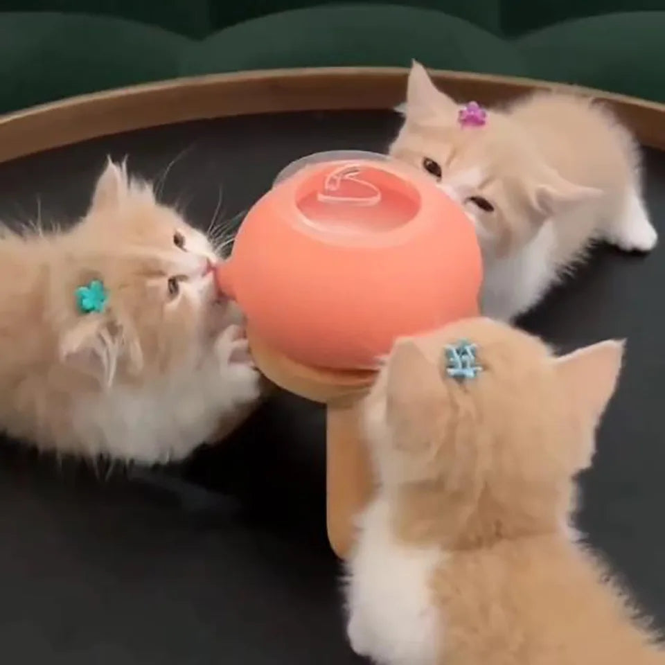 Cute Cat Breast feeder