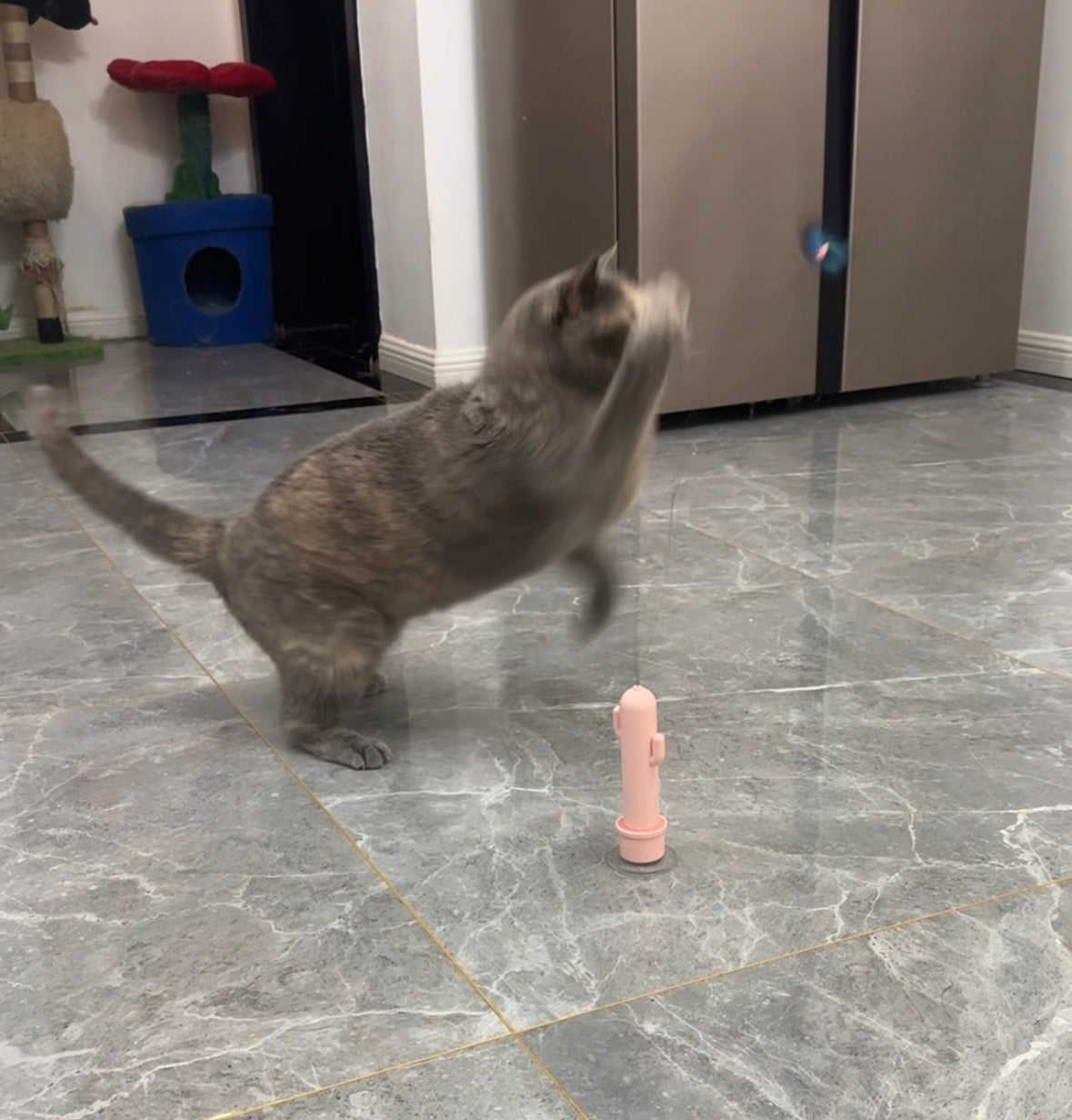 Happy Cactus butterfly toy