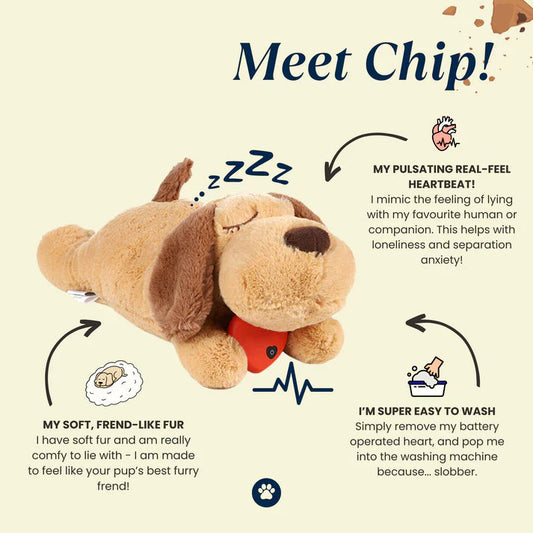 Chip Snuggle Buddy® - Cutier Store