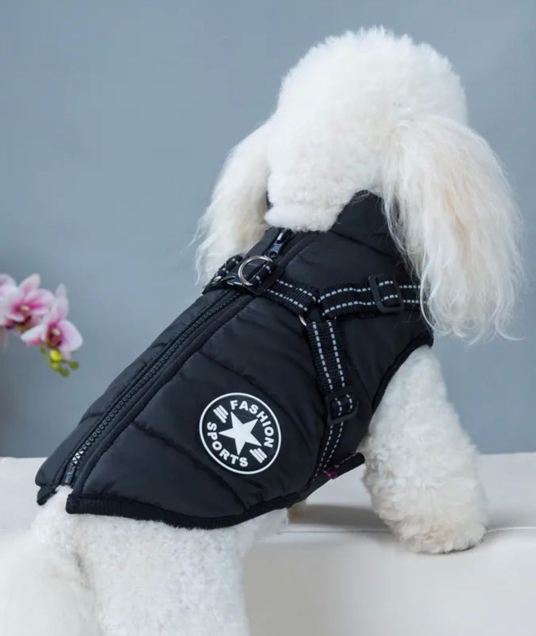 CatsStore® Dog Winter Jacket With Harness