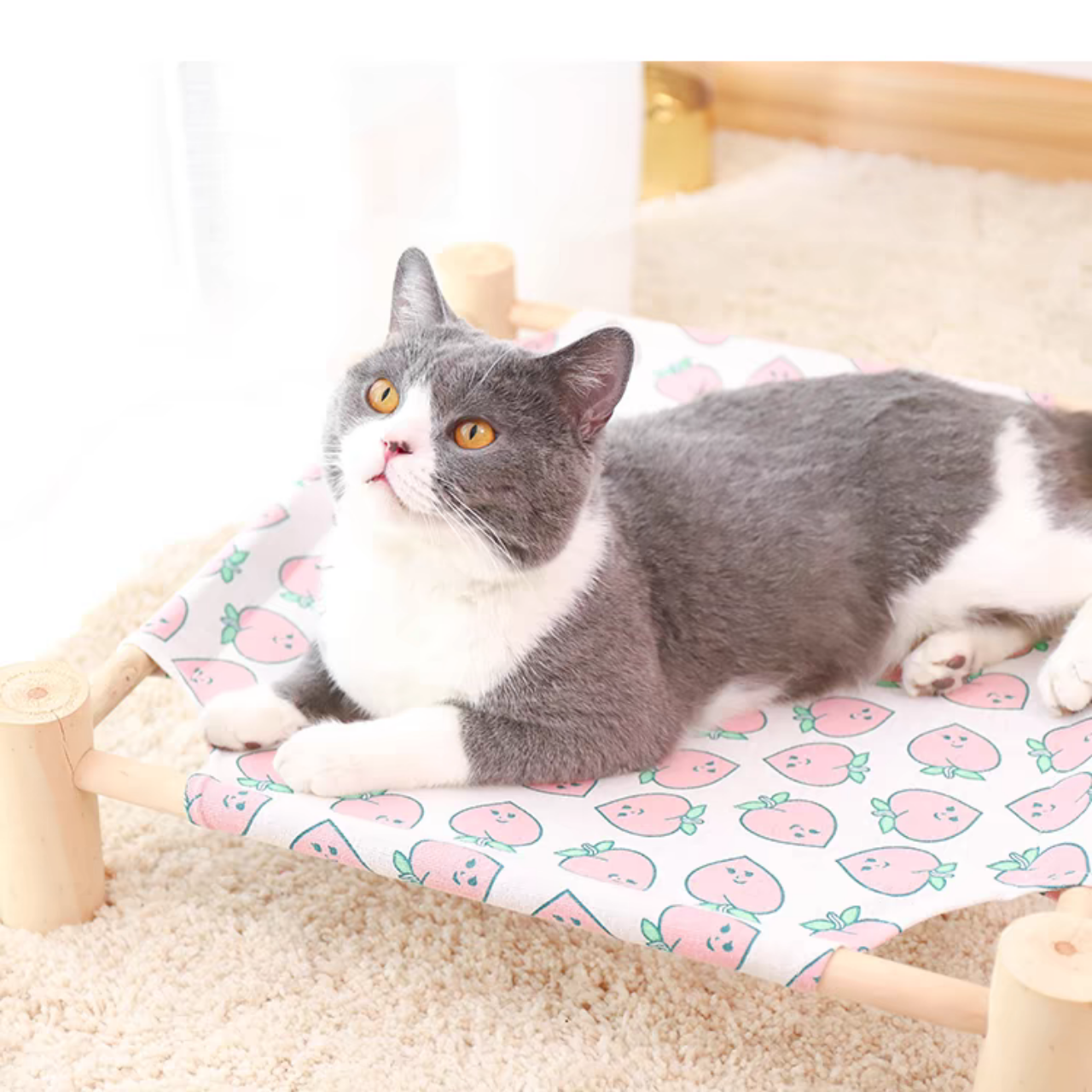 Wooden Cat Camp Bed for summer