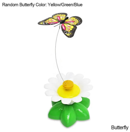 Automatic Electric Rotating cat Toy - Cutier Store