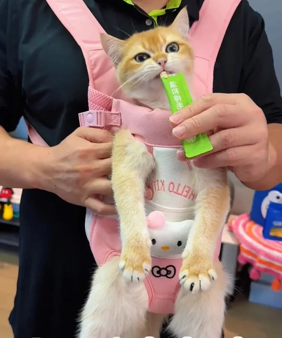 Cute Cartoon Front-Facing Pet Carrier Backpack