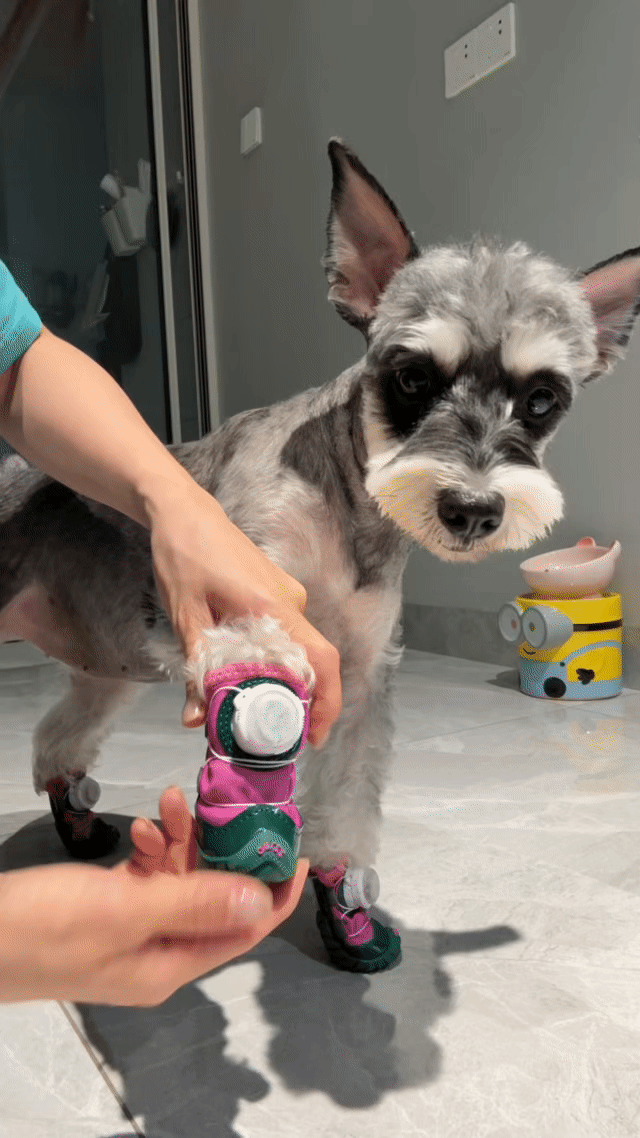 LED Light-Up Winter Dog Shoes - Visibility & Warmth (4 Pcs)