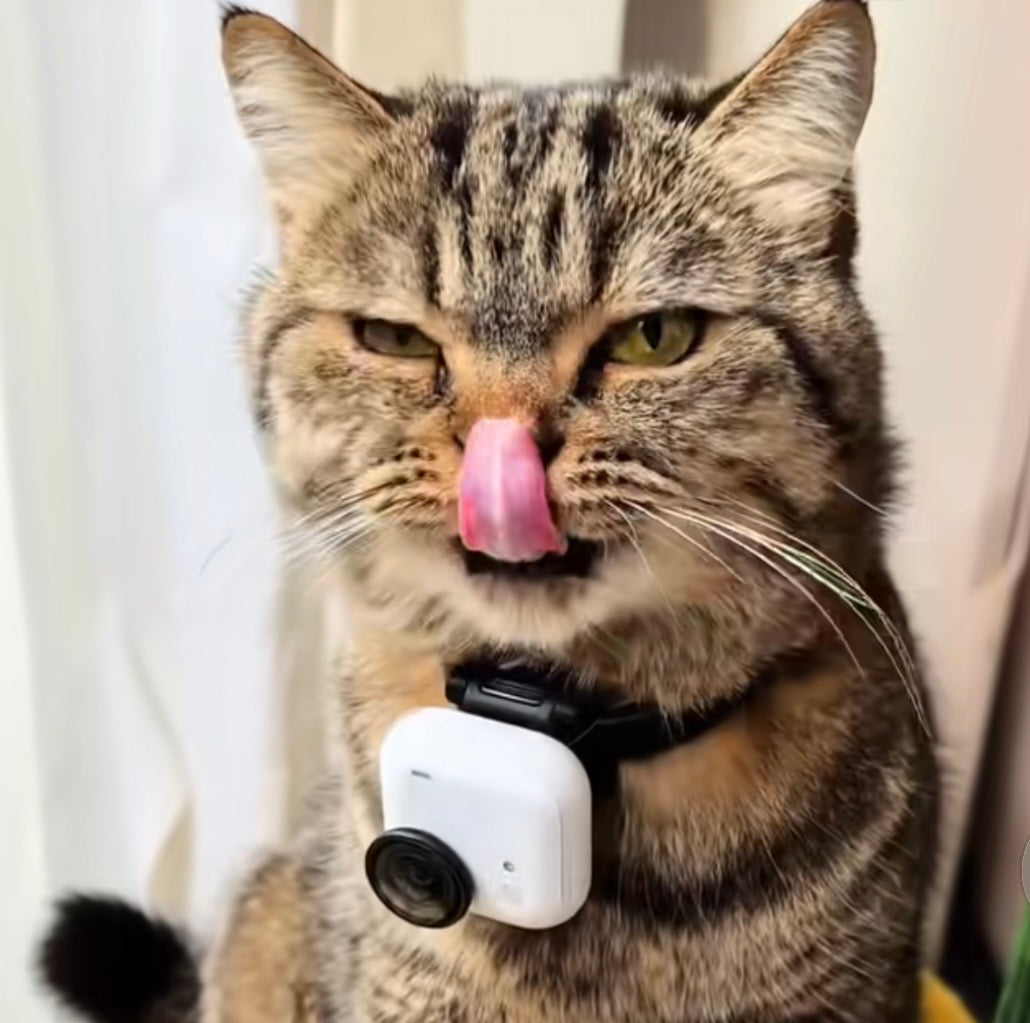 Pet 360 insta pro 4k Video Camera