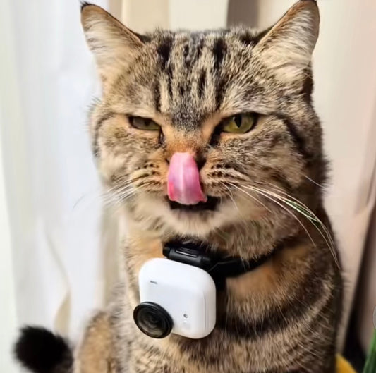 Pet 360 insta pro 4k Video Camera