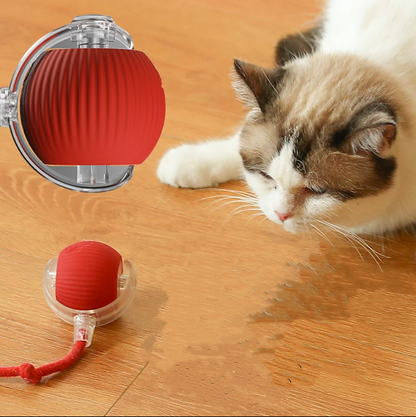 Smart Cat Interactive Ball Chug Ball Self rolling Cat tut-tut Ball - Cutier Store