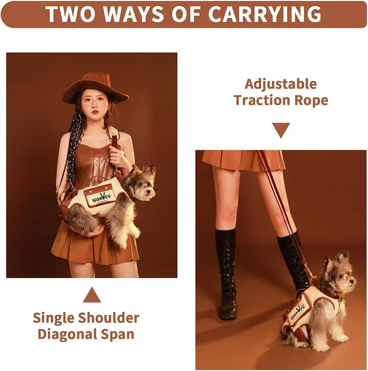 Pet carrier harness