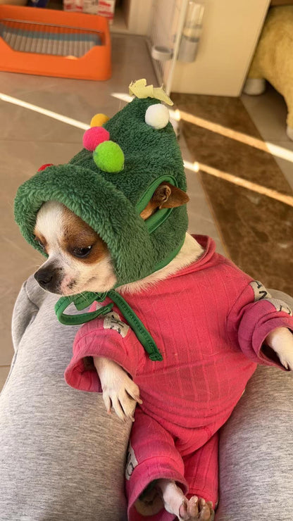 Festive Holiday Pet Hat & Scarf Set – Cute Christmas Costume for Dogs & Cats | Xmas Pet Photo Gift