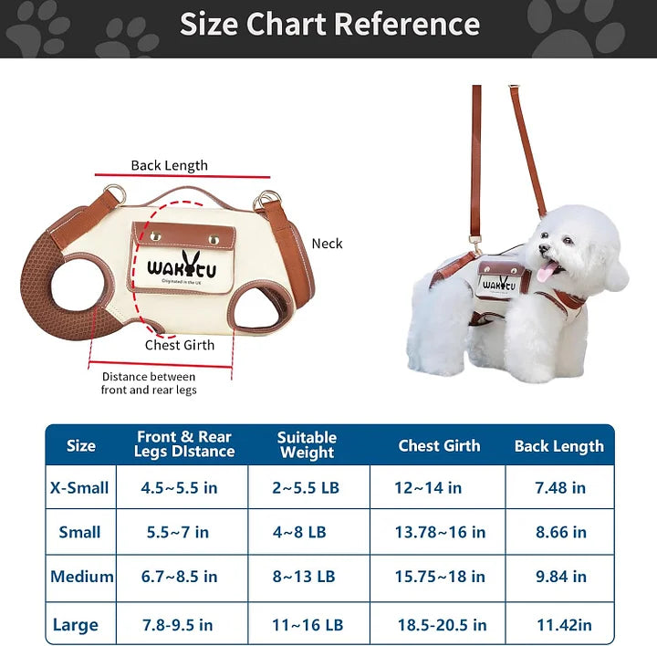 Pet carrier harness