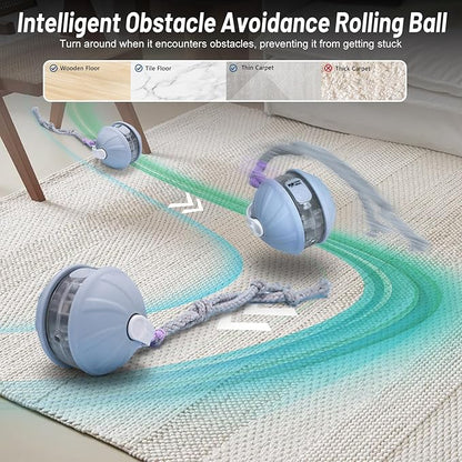Cat smart interactive feather rolling ball - Cutier Store