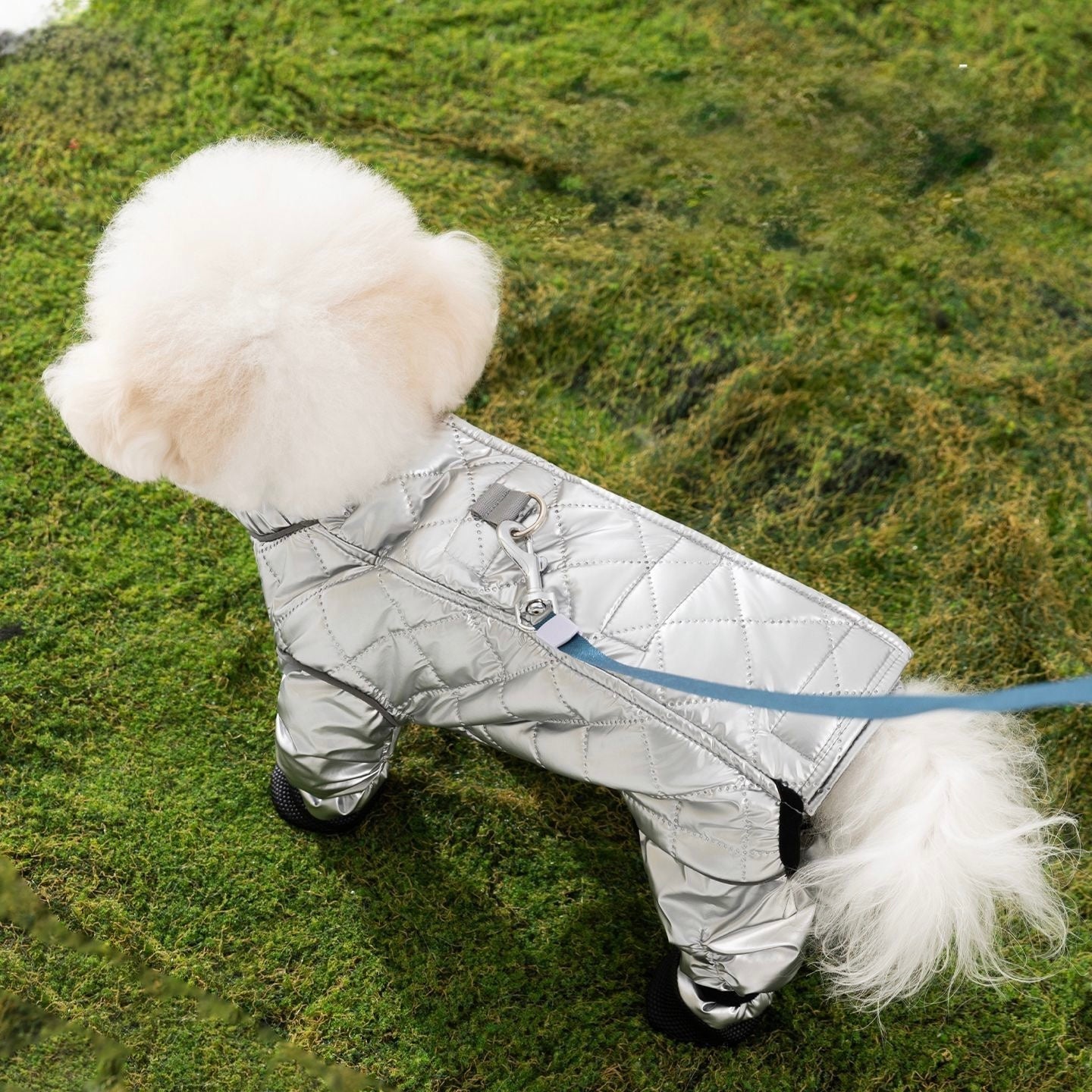 Full-Coverage Four-Legged Dog pent - Soft Cotton