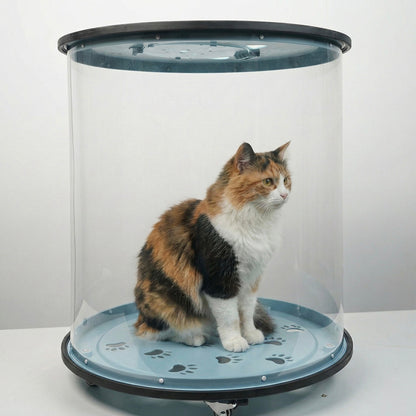 Transparent Cat Walking Roller Ball – Outdoor Cat Exercise Wheel & Safe Walking Bubble Carrier