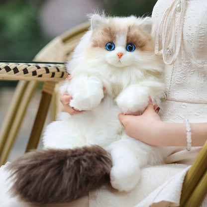 Person holding a fluffy white cat with blue eyes in a chair.