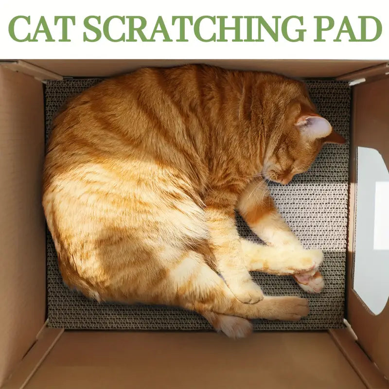 Cat scratching House , cutier store