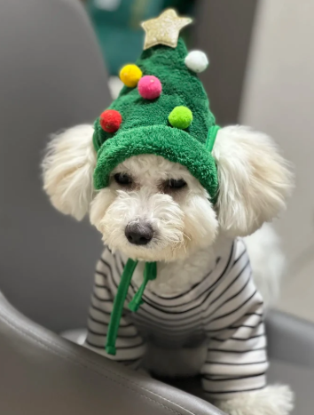 Cutest Christmas pet tree scarf Set